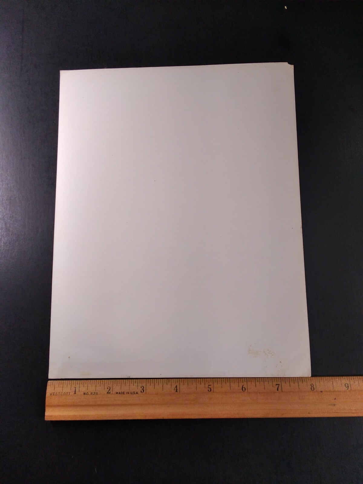 Olympics 1948 Movie Rare Promo Photo Original 8x10 Track Runner