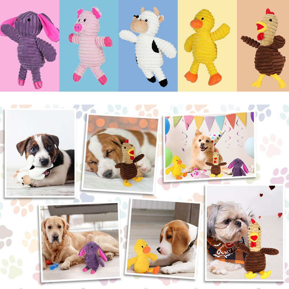5 Pack Plush Toys Assortment Puppy Pet Squeak Toy for Small Medium Large Dogs