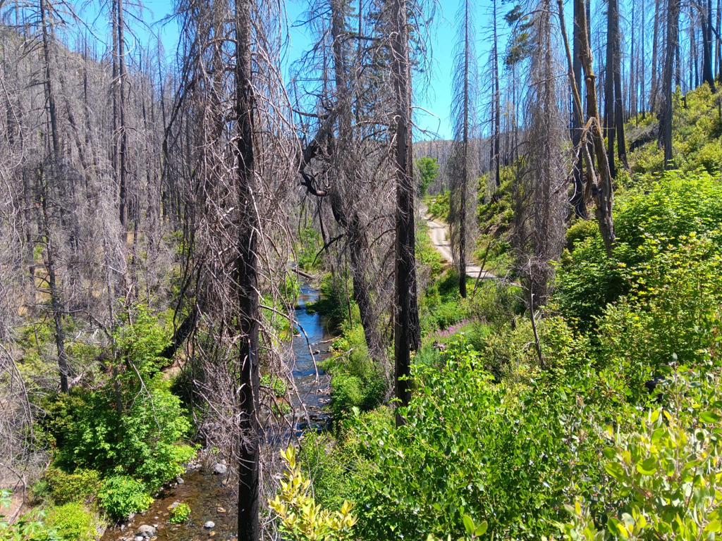 Republic Mining Prospectors Association Membership. Access to 18 Mining Claims.