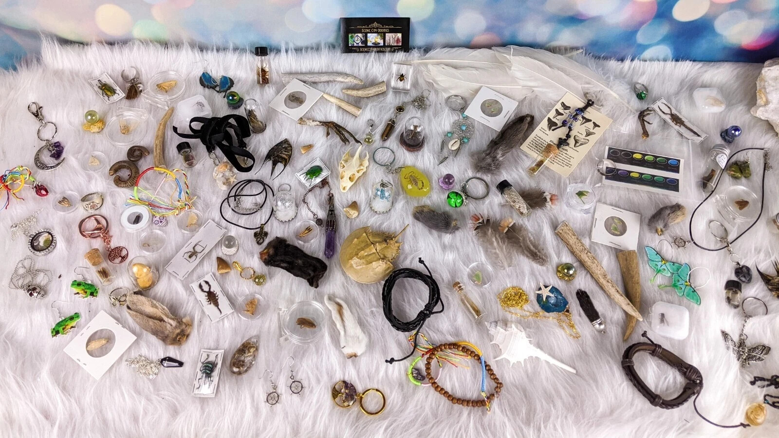 MYSTERY Lot BOX Small Curiosity or Oddity box 4 / 6 item gift surprise package