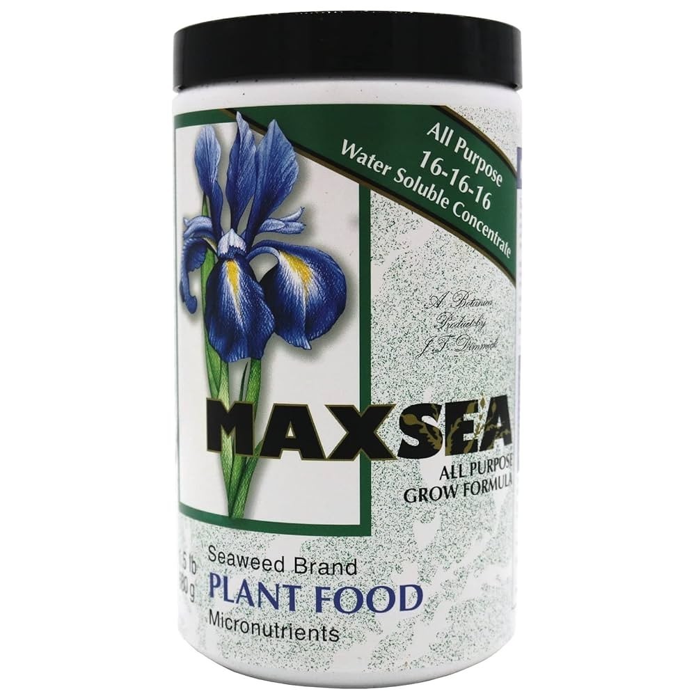 Maxsea 16-16-16 ALL PURPOSE Plant Food Water Soluble Seaweed nutrients