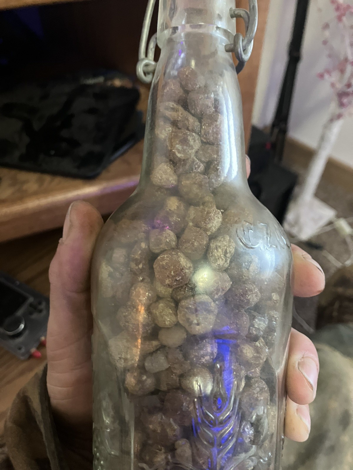 Lot of  Idaho Star Garnet  3.44 pounds including glass.