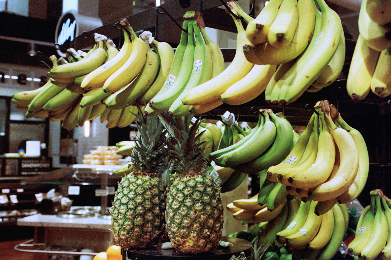 NIGHT ALIEN - 35mm Color Negative High Speed Film 800D - 36 exp C-41 BRAND NEW