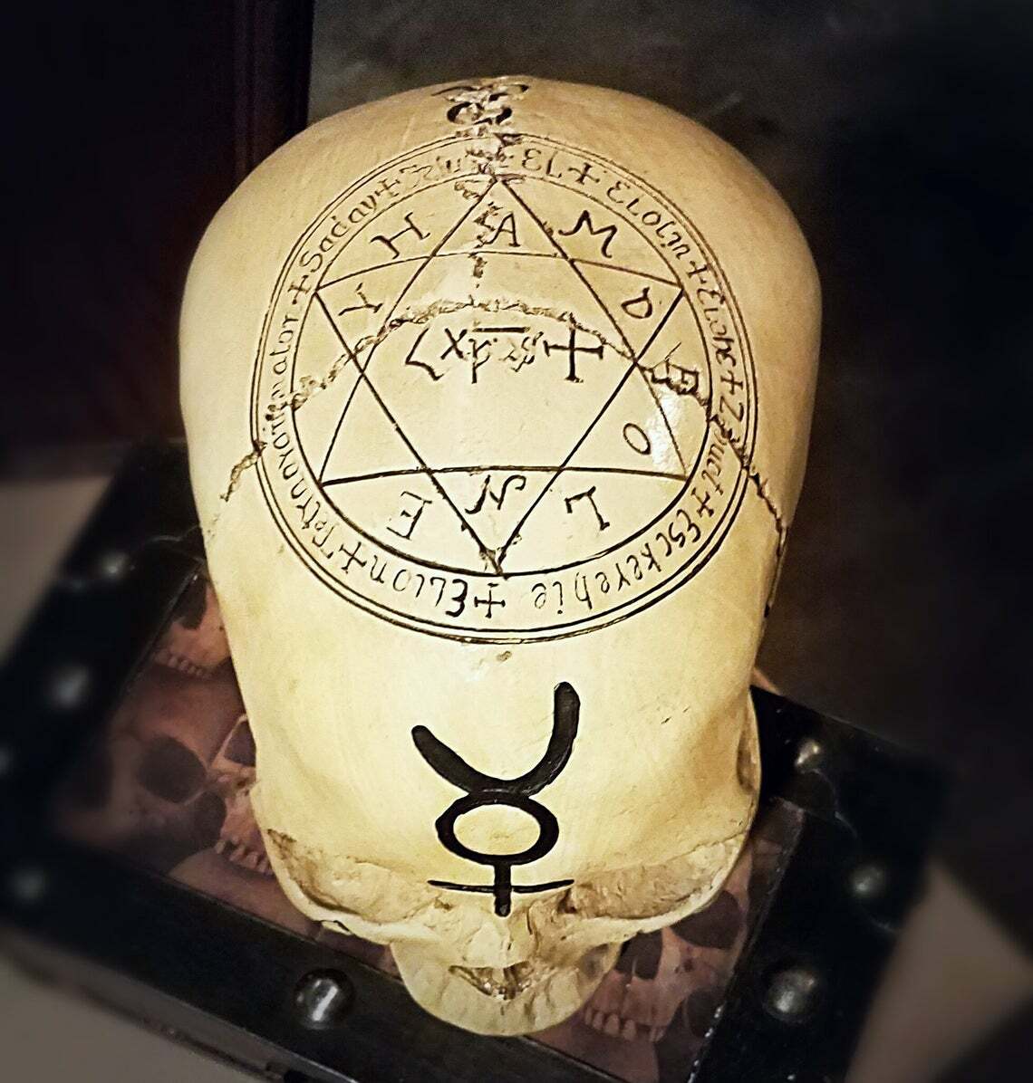 Alchemy Skull, Pentagram Skull, Real Human Skull Replica, Astrology Skull