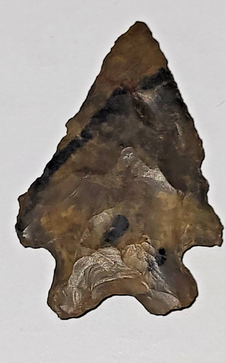 Sharp American Arrowhead Artifact Buck Creek Point? Jasper? Veined Arrow Head