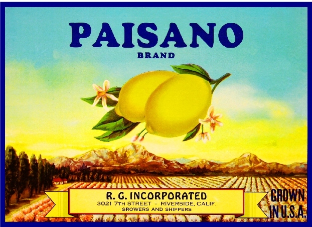 Riverside Paisano Lemon Citrus Fruit Crate Label Art Print