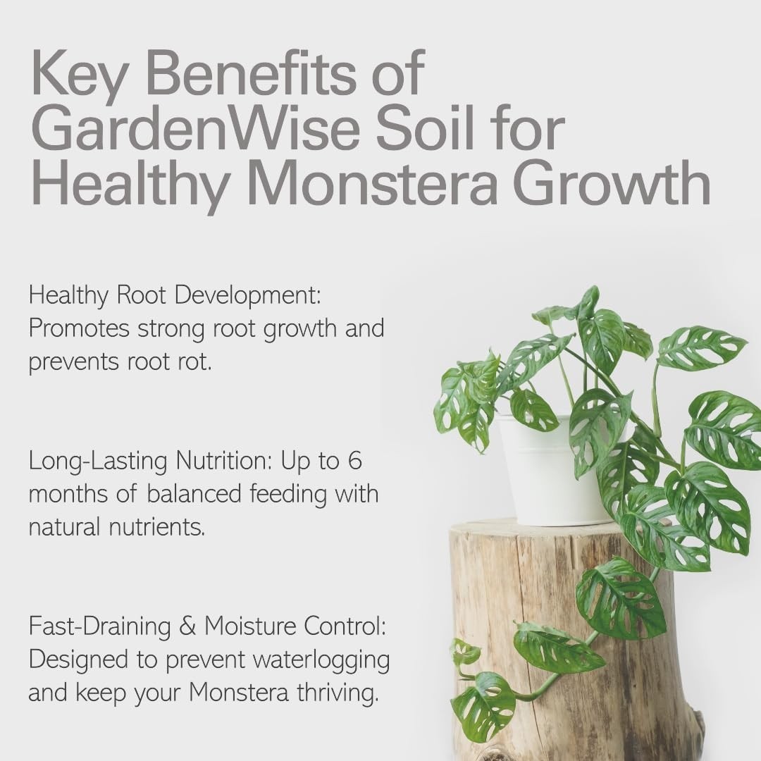 Monstera Potting Mix – Organic Soil w/ Fertilizer for Indoor & Outdoor Plants🌱