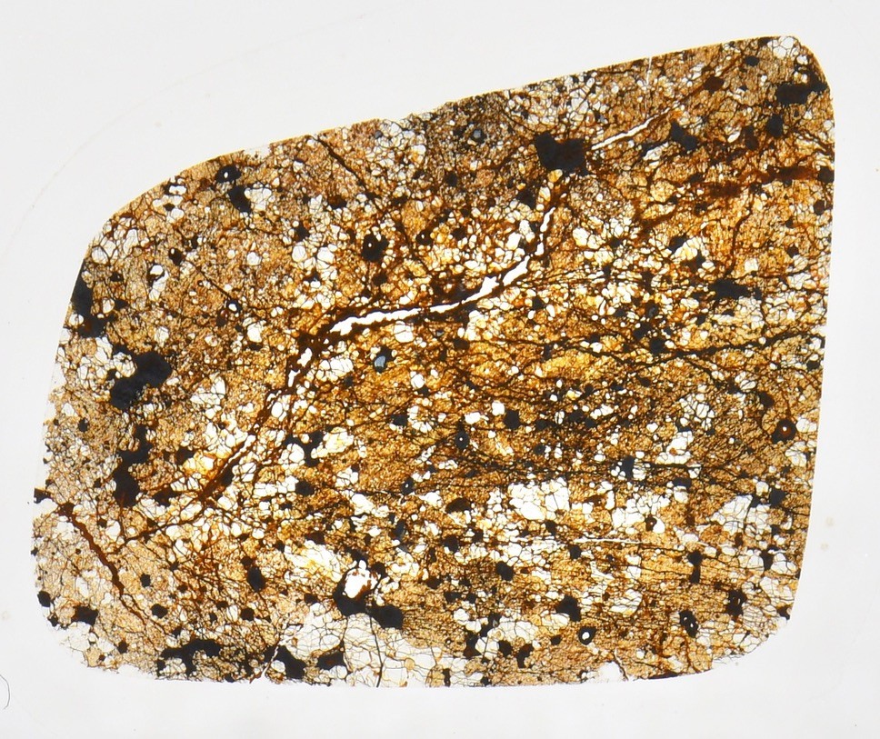 Meteorite NWA 16394 - rare WINONAITE Achondrite Microscope Slide Thin Section