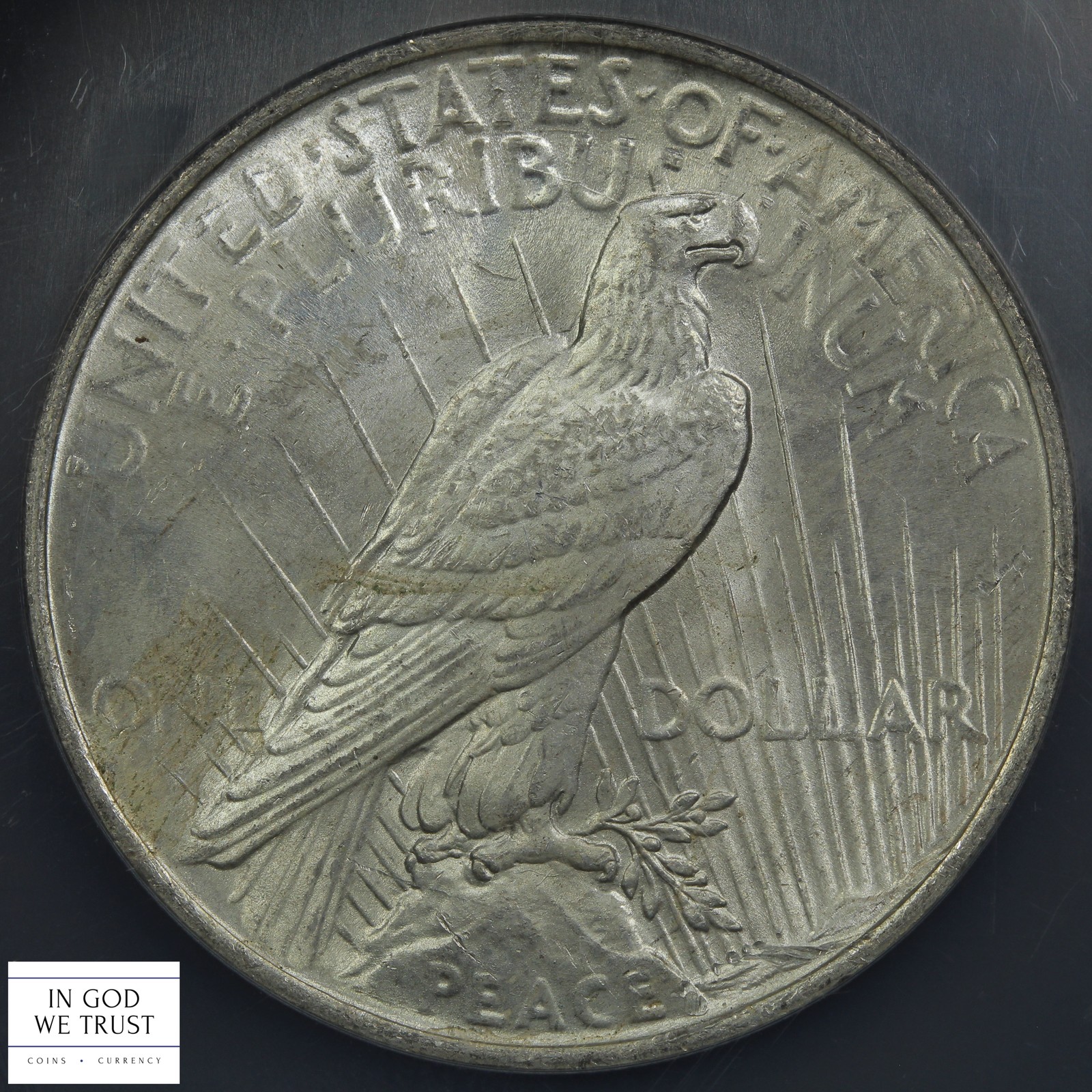 1923 Binion Hoard Peace Silver Dollar $1 NGC/NCS Genuine