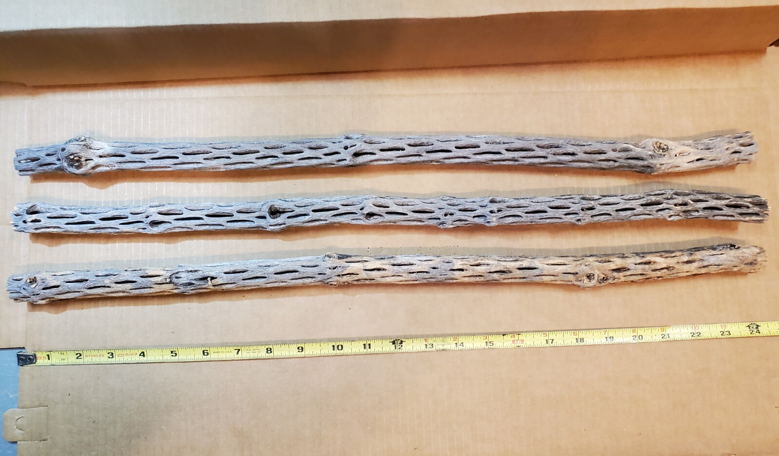 NEW! 3 CHOLLA Wood Pieces 24" inch EXTRA LONG Straight | Organic Aquarium Craft