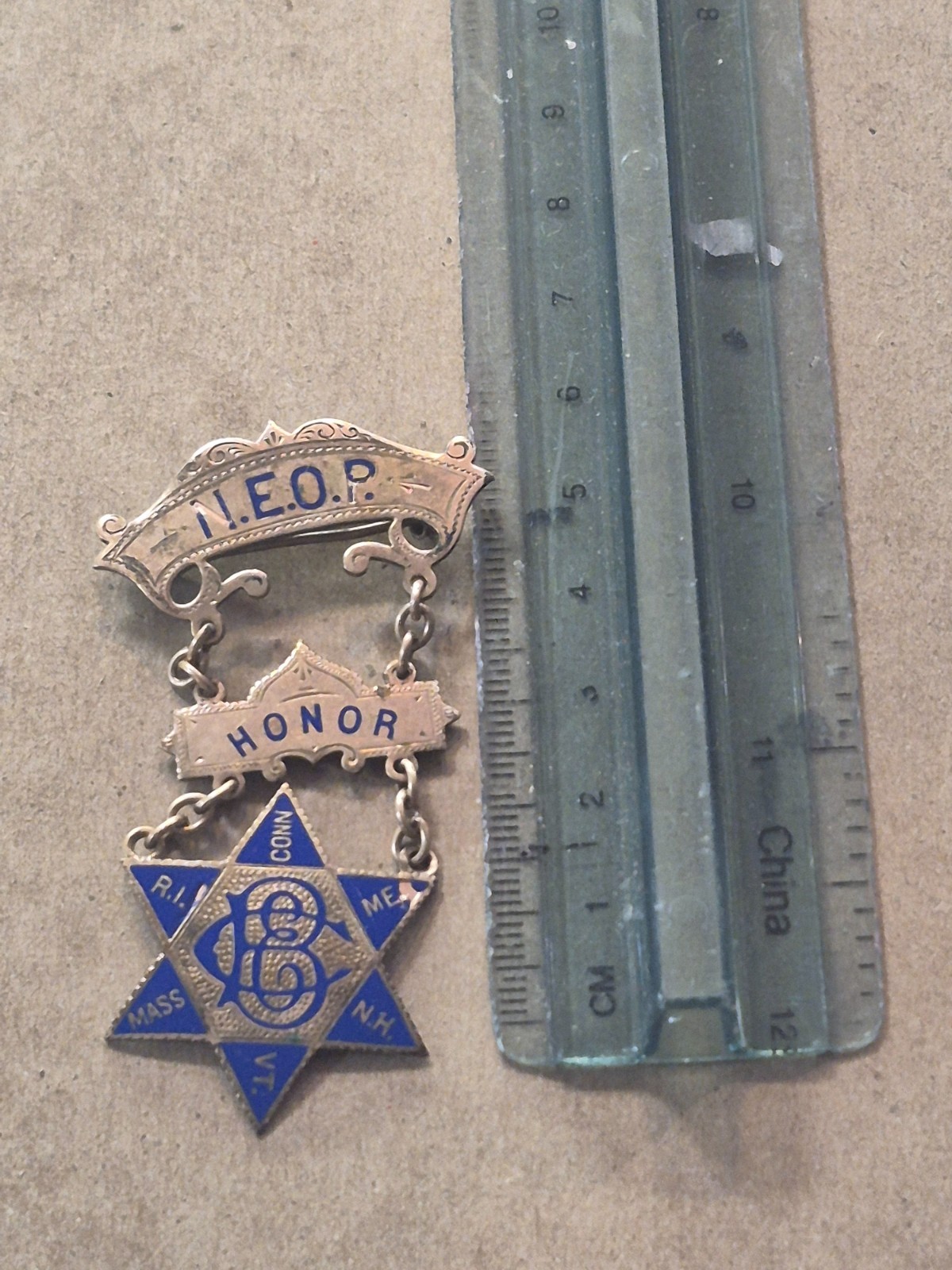 New England Order of Protection NEOP BRASS PIN BADGE JP442