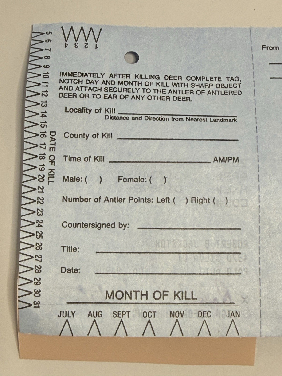 Vintage 1990 California Mule Deer Hunting Tag / Permit Unpunched Unit X3B
