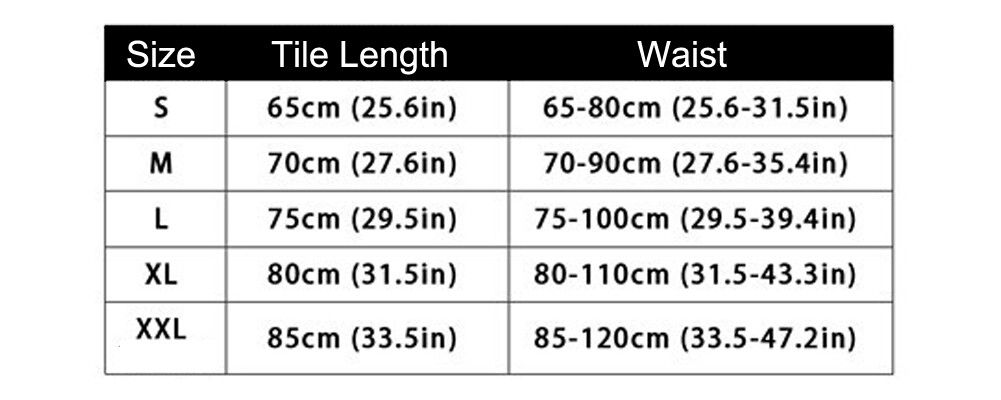 Women's Mesh Lace Garter Belt Sexy Sheer Lingerie 4 Straps Suspender Plus Size