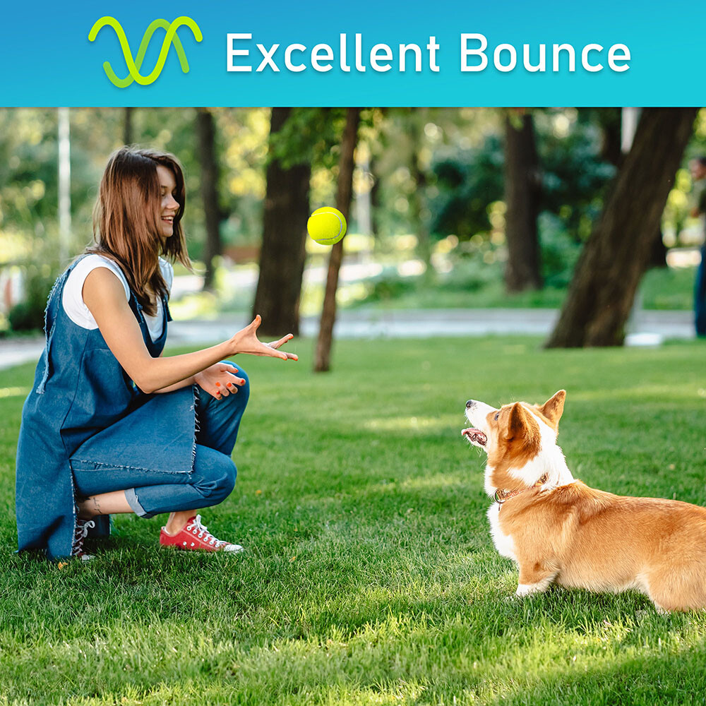 New Tennis Balls for Dogs 2.5” Squeaky Dog Toy Interactive Pet Fetch Ball