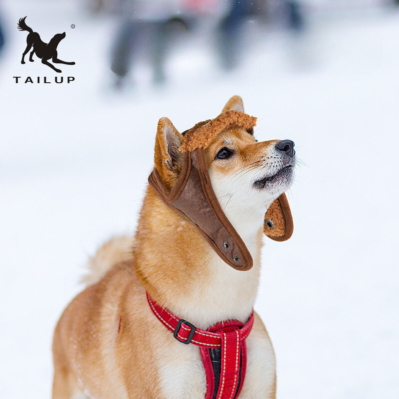 Pet Dog Pilot Hat Puppy Cute Aviator Cap Windproof Spring Autumn Style Costume