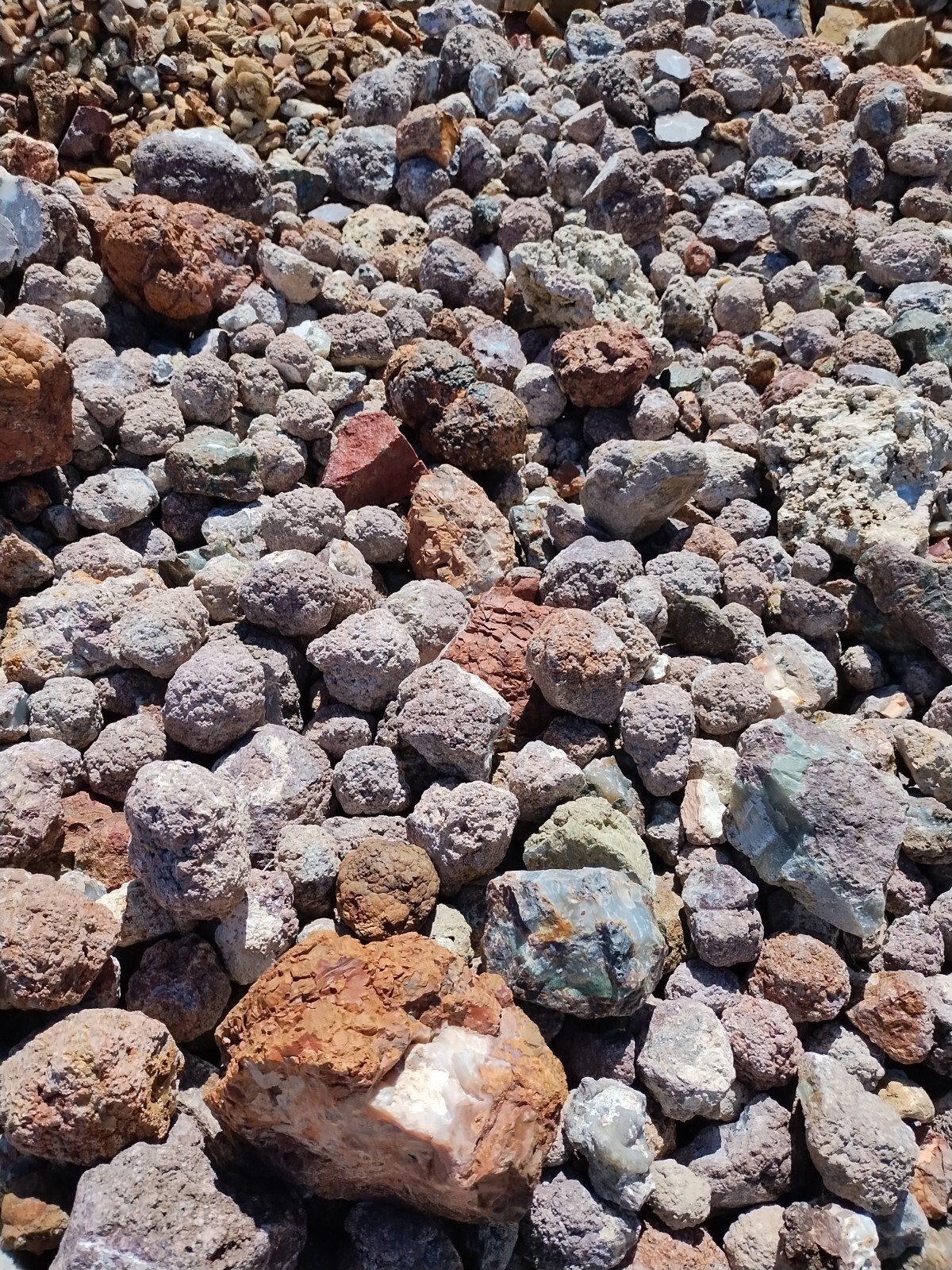 Thundereggs, Oregon, 4 Pound lot, Whole Uncut Rough, Agate