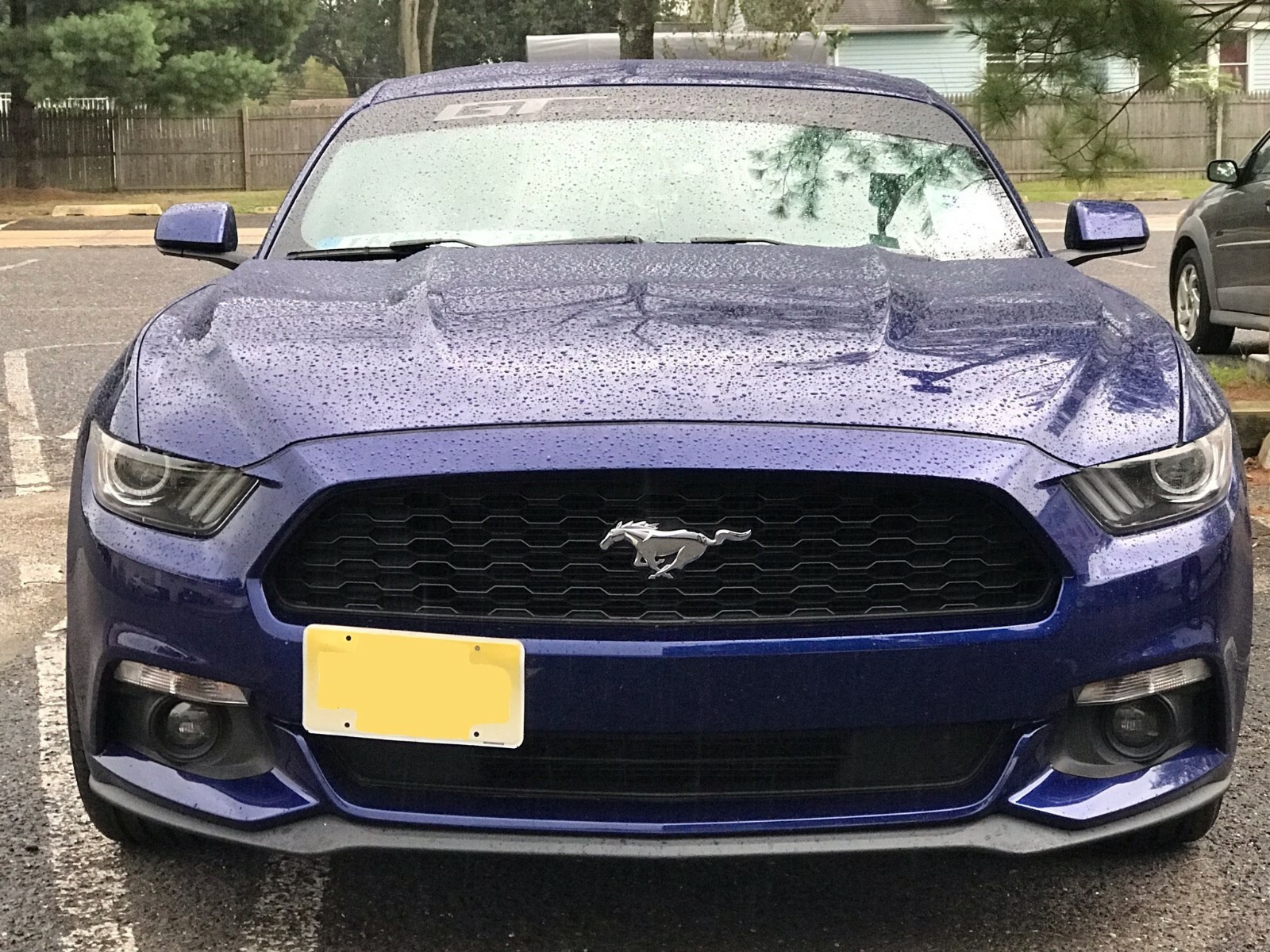 Front License Plate Tag Holder Mounting Bumper Kit Bracket for MERCEDES-BENZ New