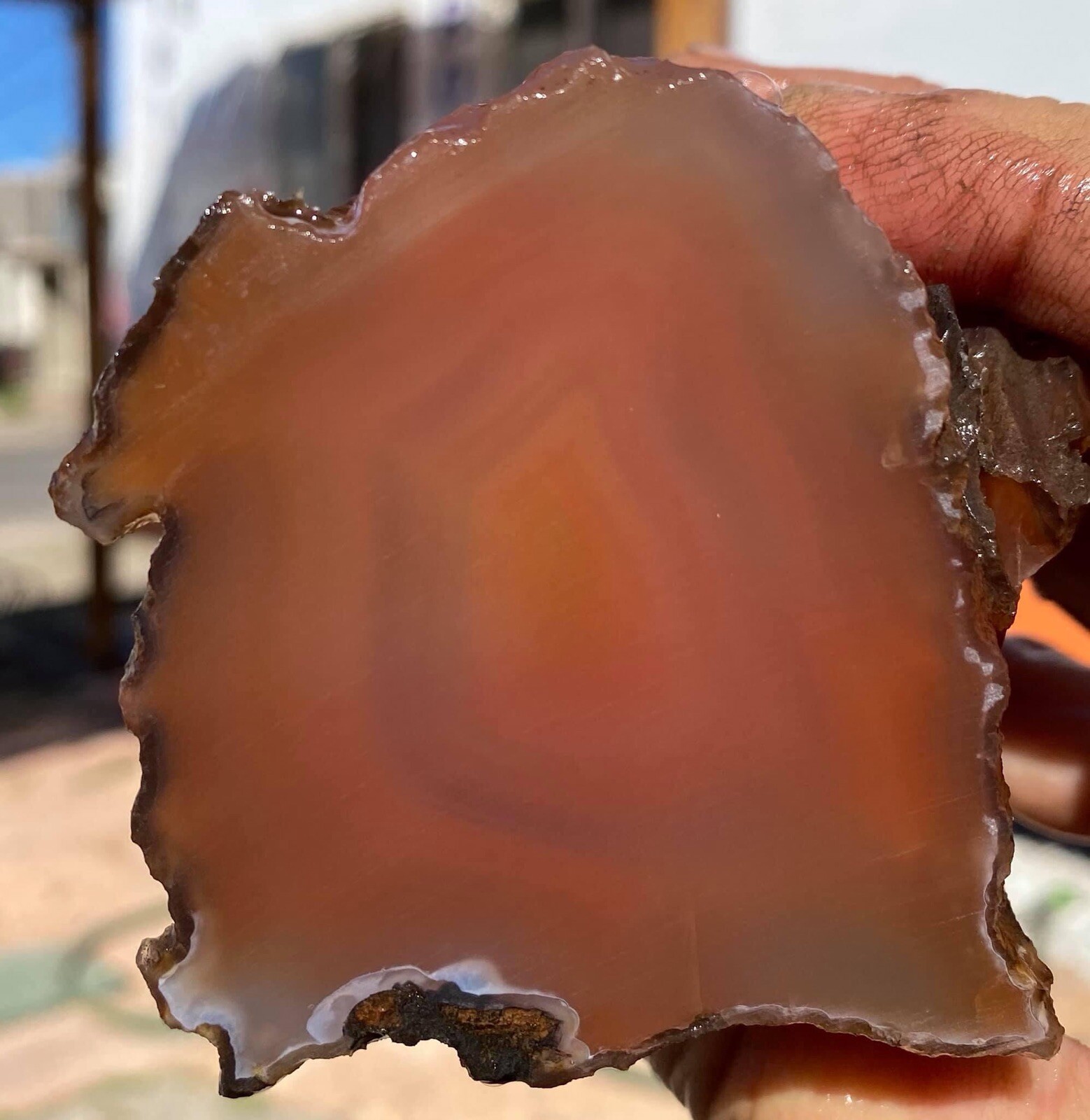 Colorful Agates From o6 Kokernot West Texas Ranch: Agate Rough Lapidary Rock
