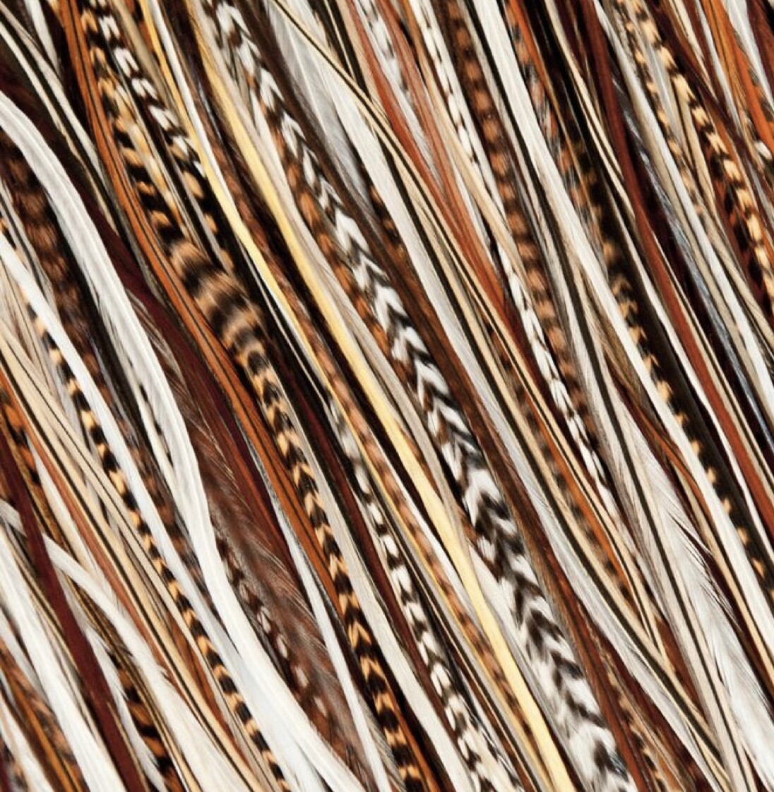 200pc Natural short variety 2-6" Pro grade saddle FLY TYING Feathers