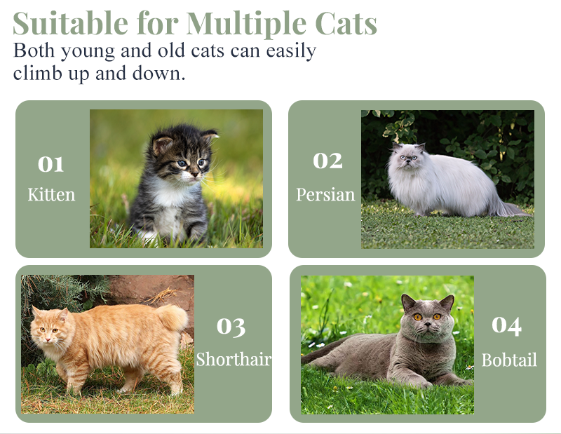 BestPet 54in Cat Tree Tower with Cat Scratching Posts Stand House Cat Condo