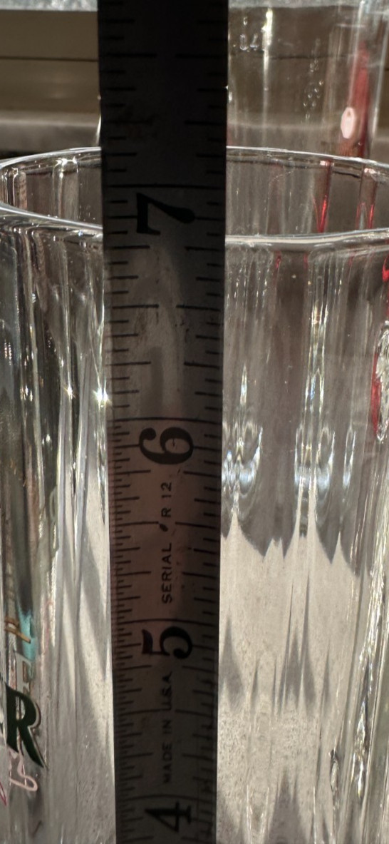 Berliner Pilsner Clear Glass Stein Mug One Pint Bear Logo