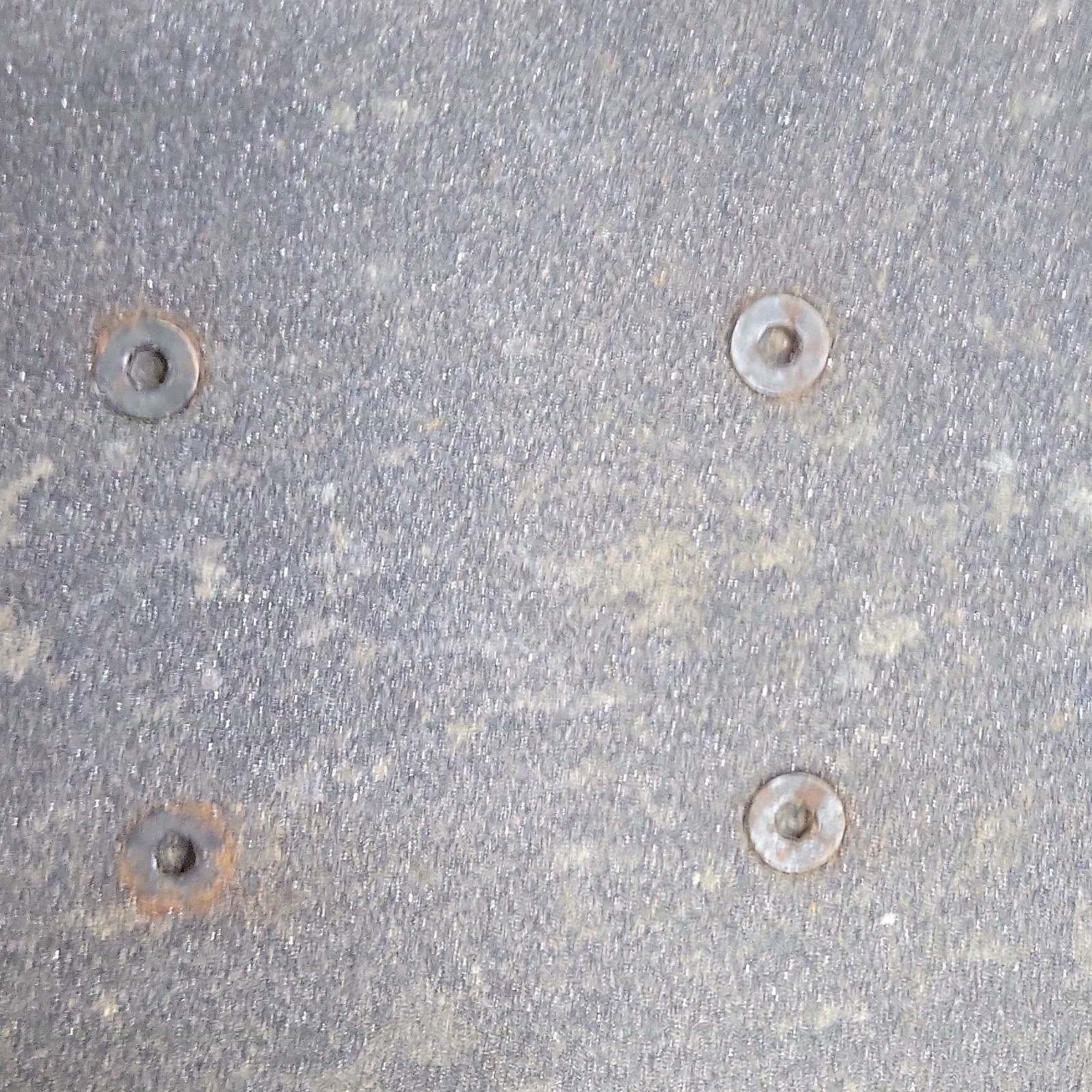 Almost Ren & Stimpy Regrowth Yellow Complete Skateboard Wood Multicolor