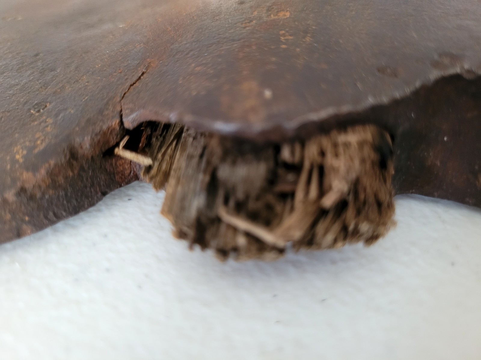 Antique/Vintage? Hewing Axe Hatchet with Wooden Handle