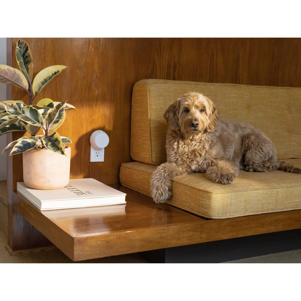 Pura V4 Smart Fragrance Diffuser