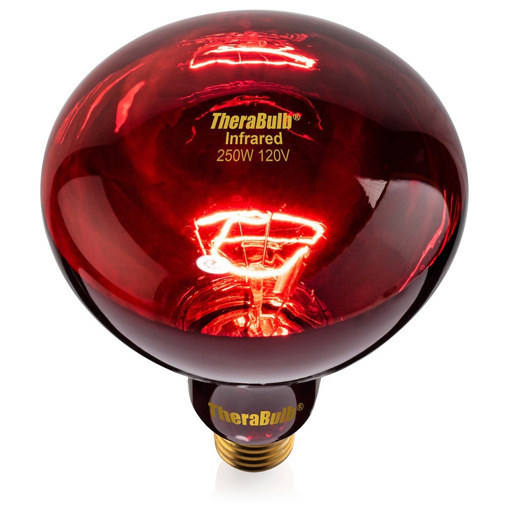 TheraBulb Near Infrared Bulb - 250W/120V - Sold by Manufacturer