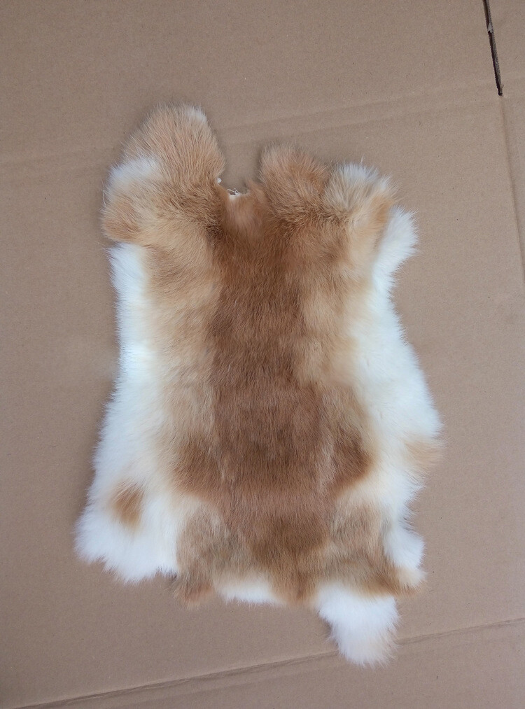 1 X Tanned Rabbit Skin Hide Pelt For Craft Animal Fur Decor Natural 8''-14''