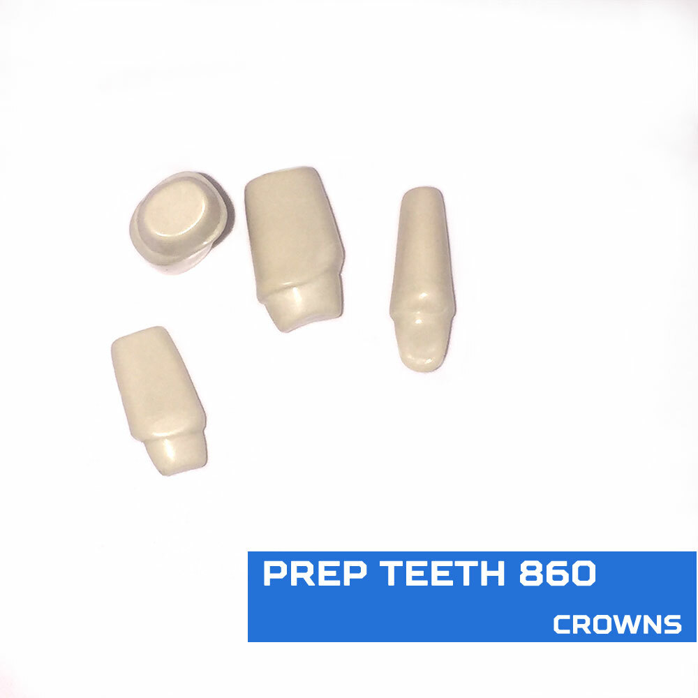Ivorine Teeth Typodont 860 - Crown Prep 5 PACK Compatible w/ Columbia 860 Brand