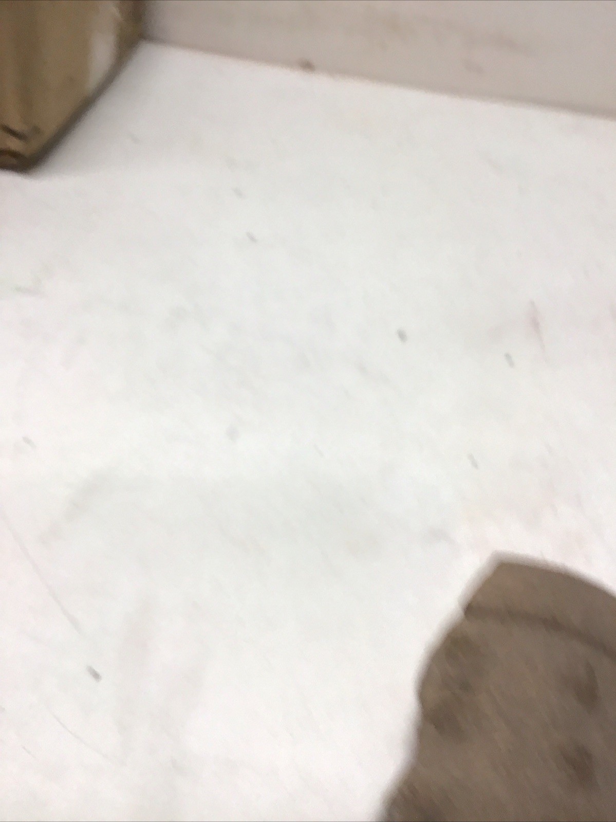 1 Pottery Shard, Pre-Colombian Possibly Native American Southwest Ancestral