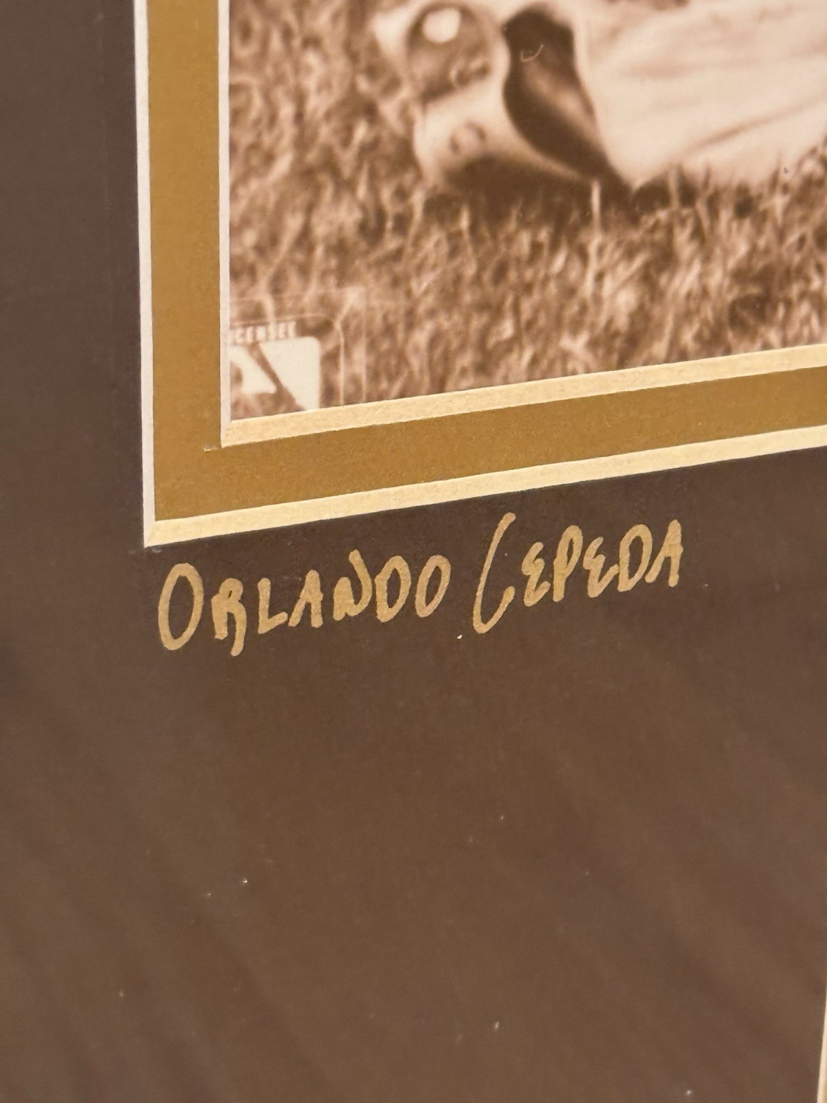 Orlando Cepeda Personally Owned 1958 SF Giants Photo Autographed Framed Display