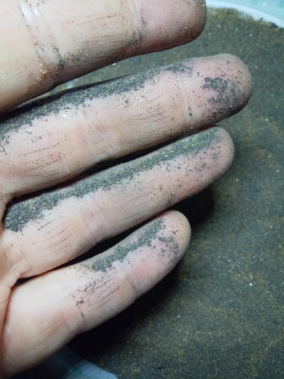 1+ Pound Gold Sluice Concentrate Magnetite Hematite Ilmenite