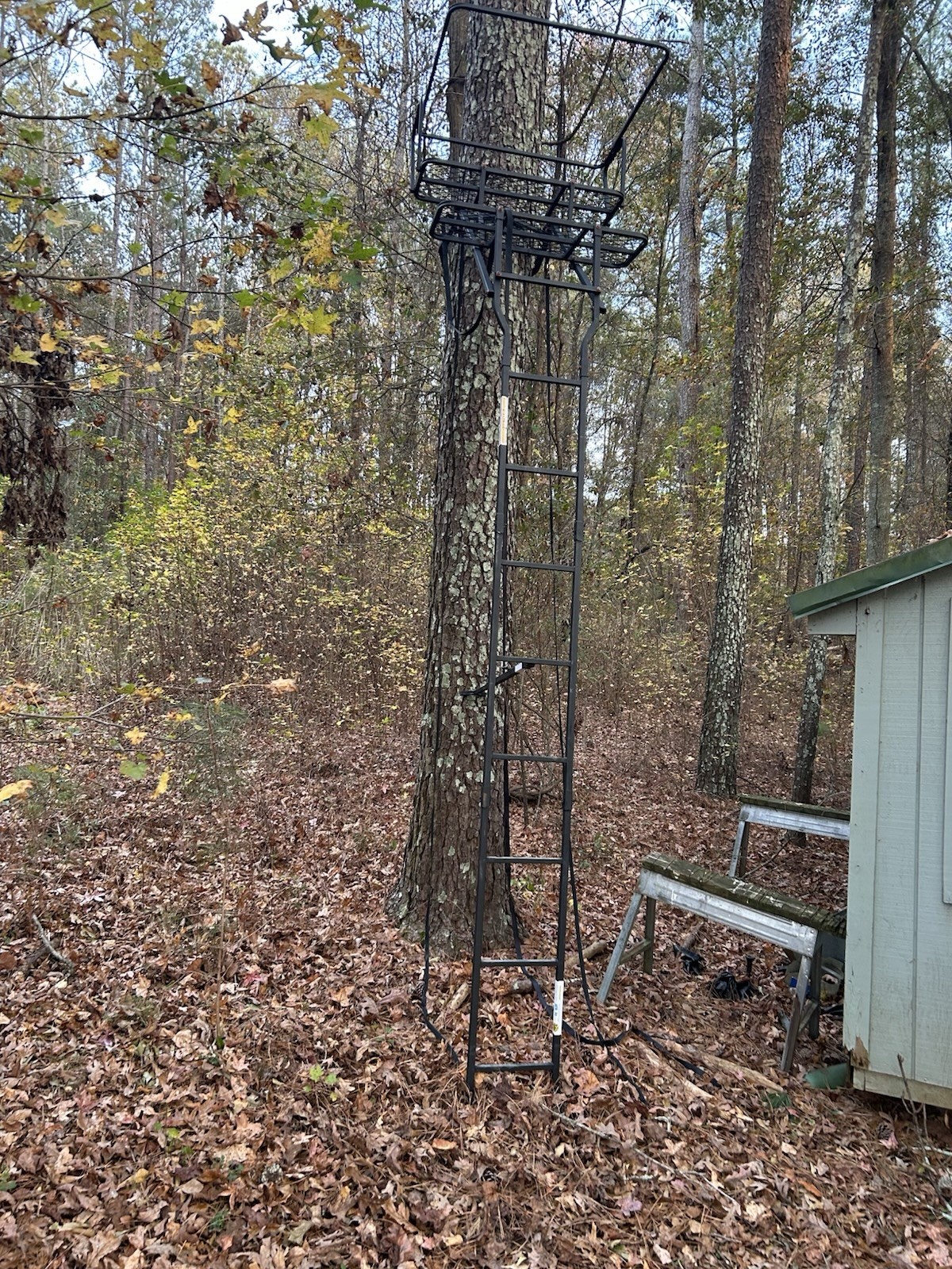 Sportsman’s Guide Gear 15’ Double Shot Jaws Ladder stand