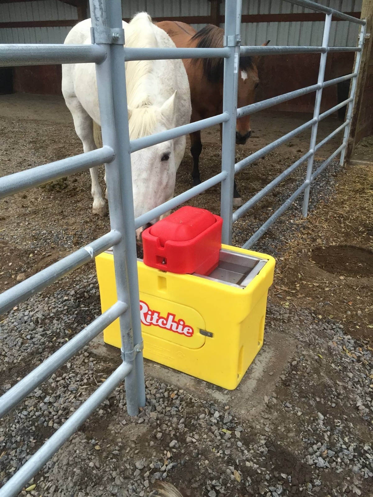 RITCHIE OMNI FOUNT 3 CATTLE HORSE AUTOMATIC LIVESTOCK WATERER USA