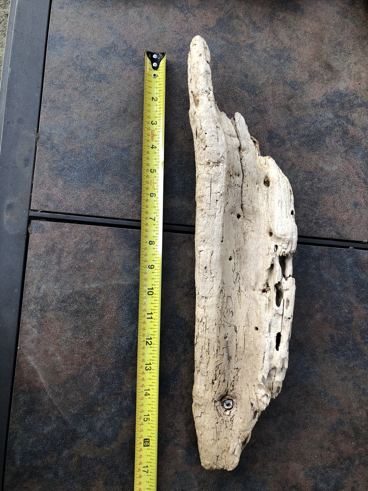 Natural Driftwood for Plants Terrarium Taxidermy Art Projects