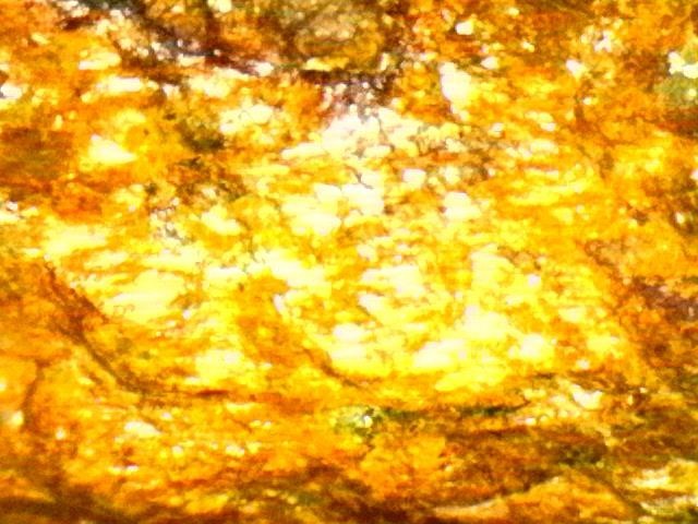 Gold Ore Specimen /Quality Visible Gold