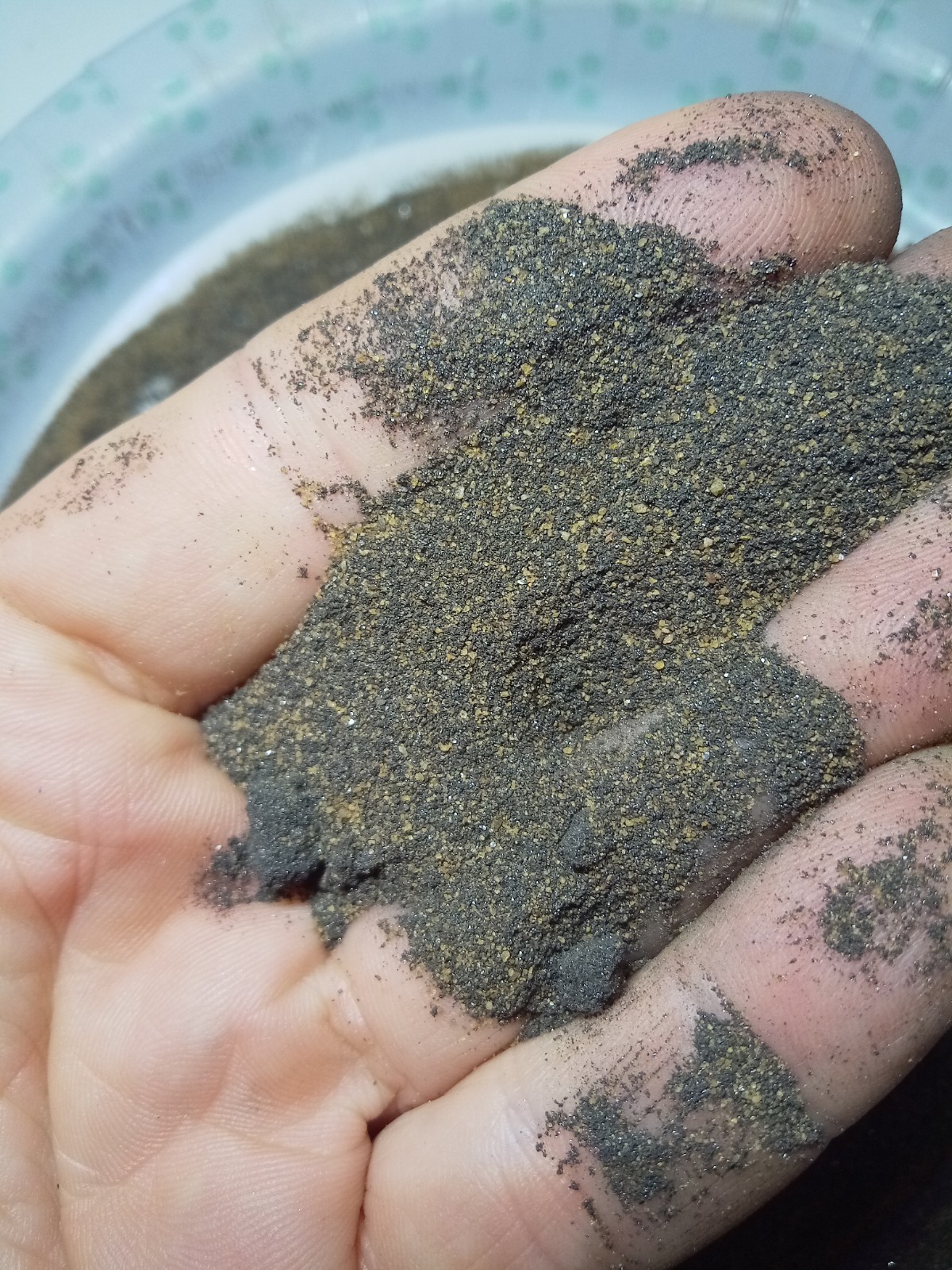 1+ Pound Gold Sluice Concentrate Magnetite Hematite Ilmenite