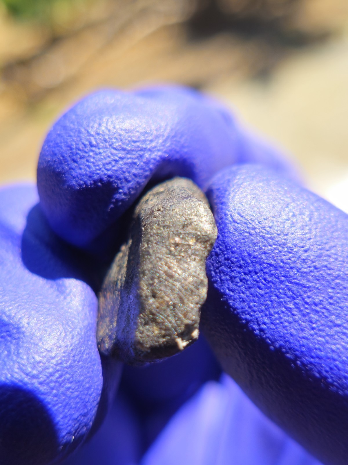 Chelyabinsk Meteorites 2.213g Fresh Crusted Individual COA Russia