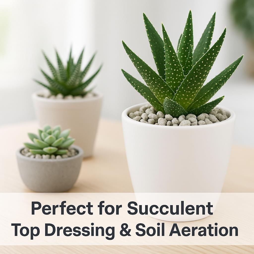 Horticultural Pumice 3/8–1/4 inch Natural Soil Amendment for Drainage Roots