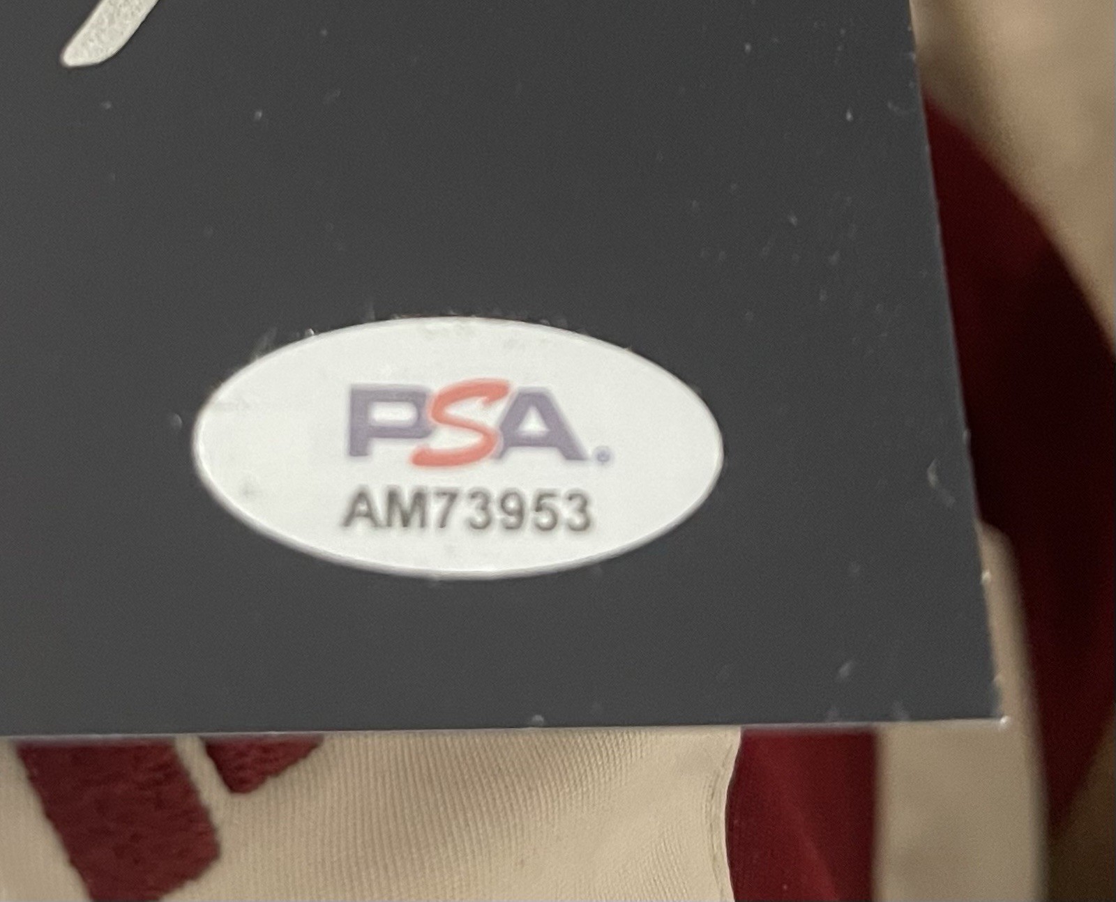 PSA DNA ROBERT O'NEILL /911 KILLED BIN LADEN SIGNED 11x14 PHOTO STORY SEPT 11