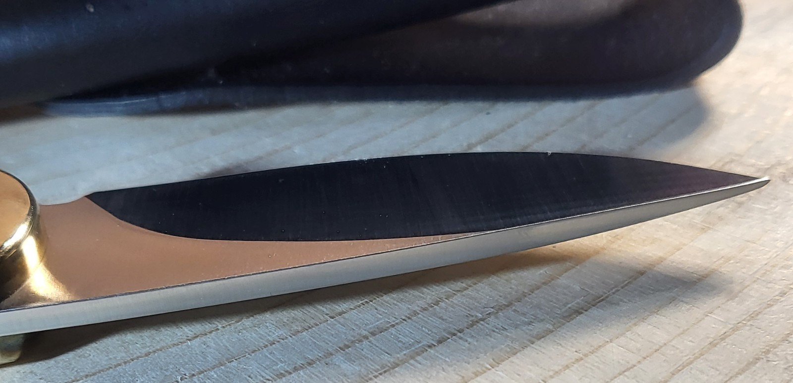 Buck 113 Ranger Skinner Knife with Leather Sheath