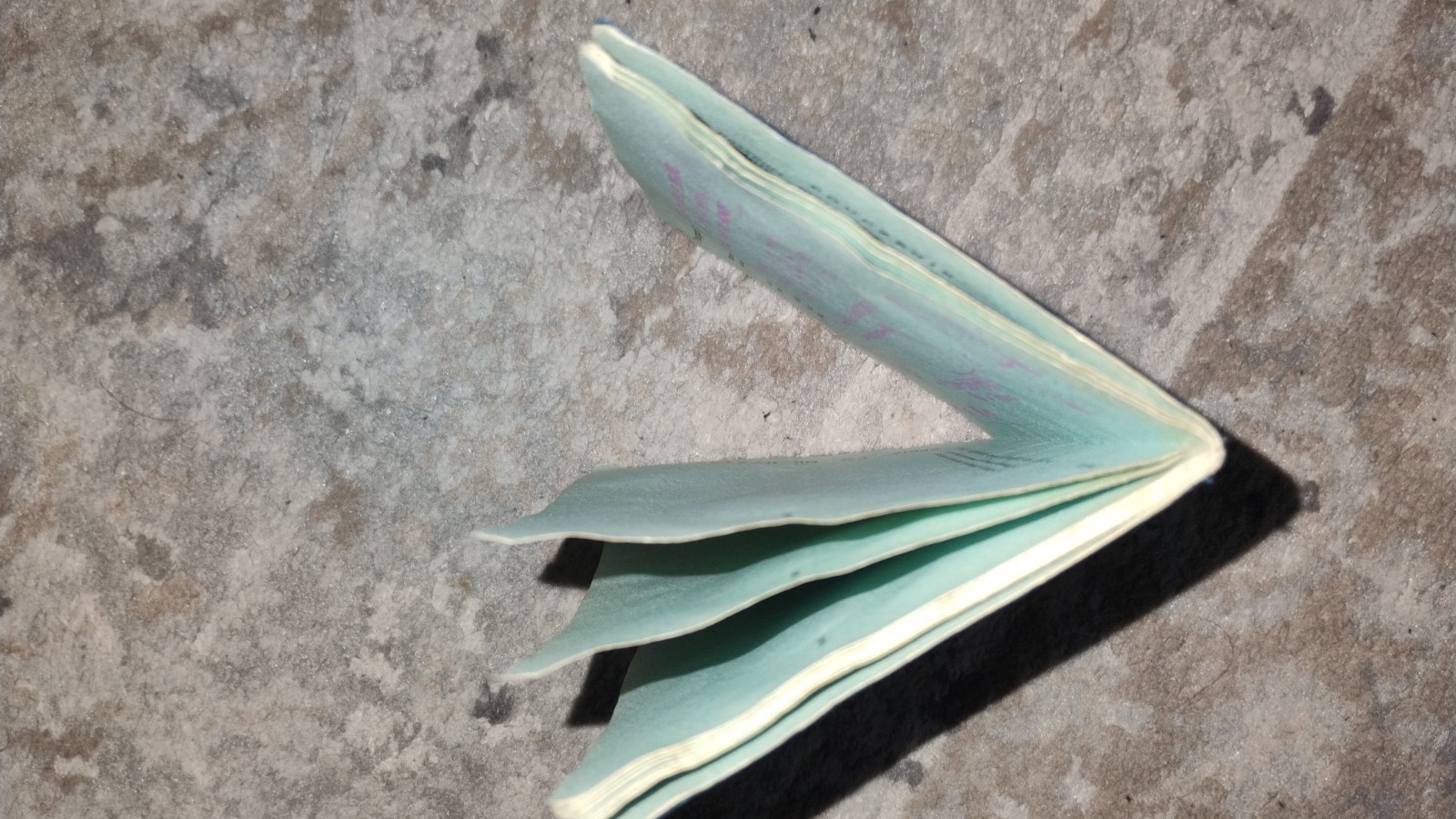 VINTAGE PASSPORT POLAND 1989 TRAVEL TEEN 14 Y.O