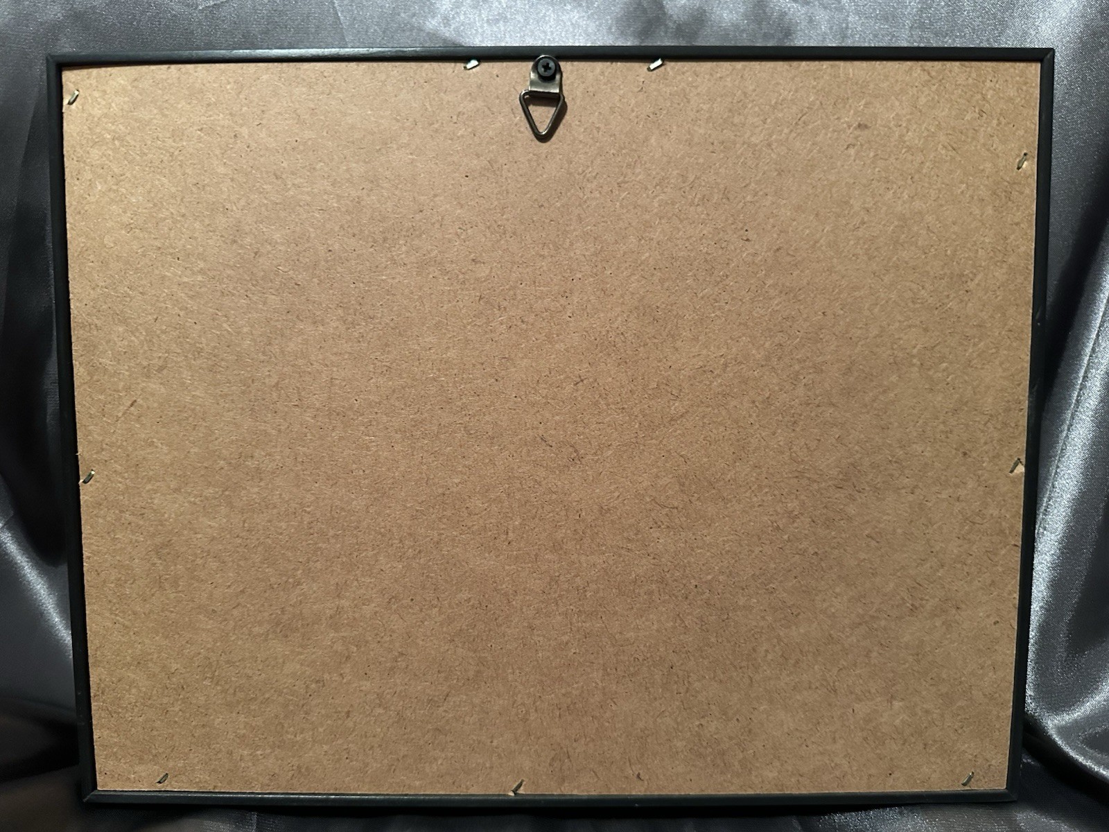 DMZ Barbed Wire Limited Edition Serial #7396 Authentic Military Collectible