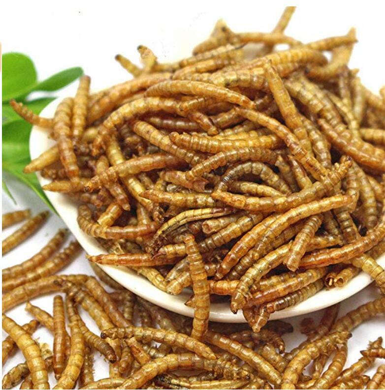 Dried Mealworms Bulk Non-GMO Natural for Wild Blue Bird Food Chickens Hen Treats
