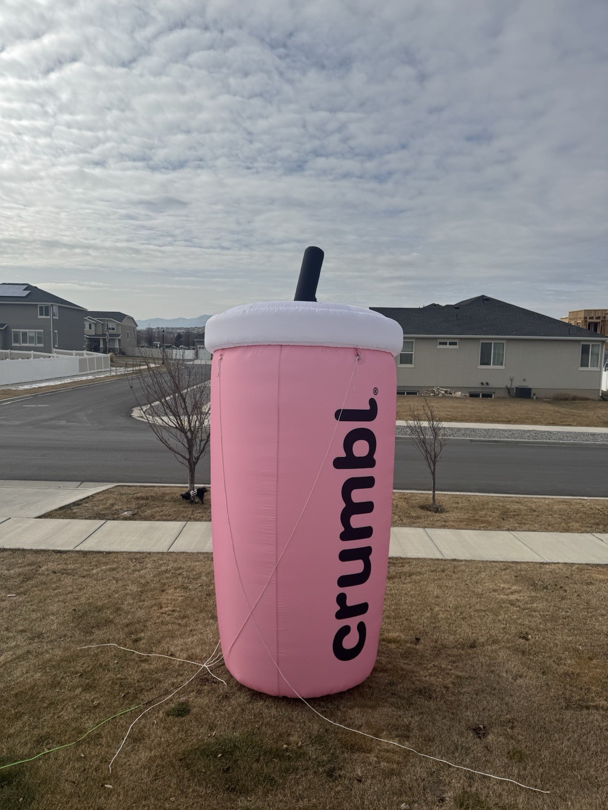 12ft Crumble Cookie Giant Pink Soda Inflatable Promotional Decor 12'