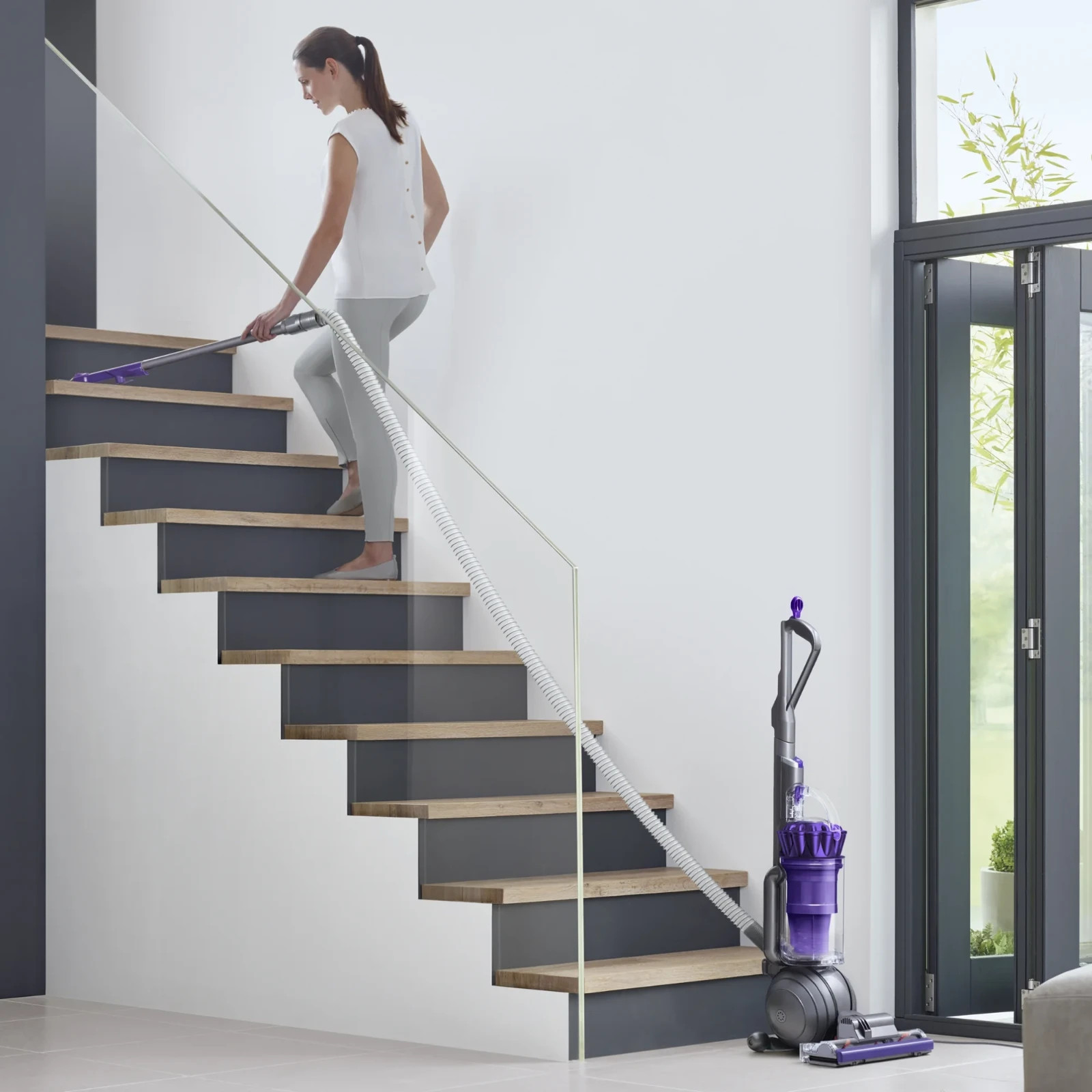 Dyson Ball Animal Origin Upright Vacuum Cleaner | Purple | New Free Shipping