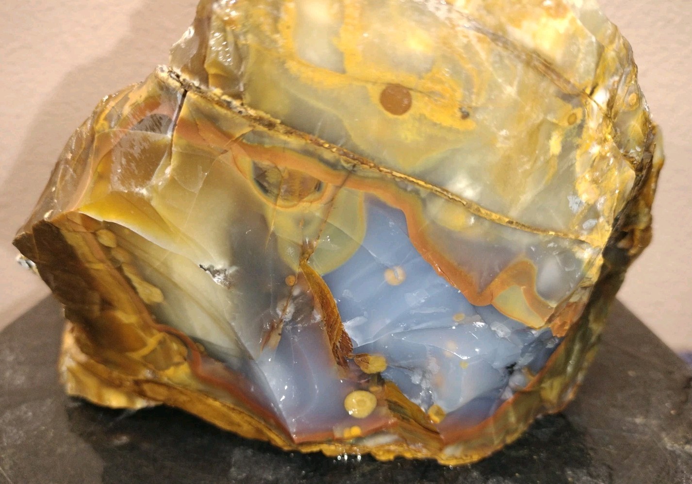 8.2LB 💙 Blue Ice Polka Dot Agate 2pc Rough Lot Ashwood, OR  Cabochon Stock #24