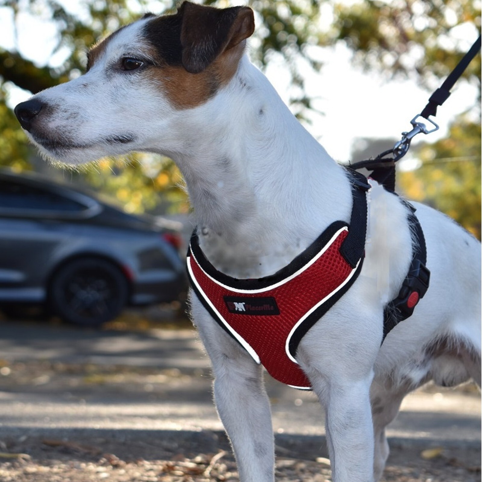 Dog Breathable Reflective Mesh Collar Harness-Travel Walk Seat Belt No Pulling